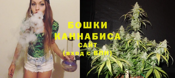 ешки Гатчина